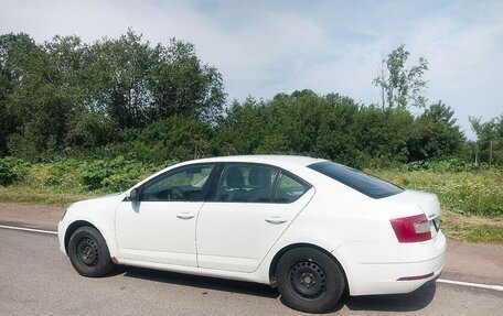 Skoda Octavia, 2019 год, 999 999 рублей, 2 фотография