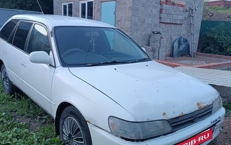 Toyota Corolla, 1996 год, 90 000 рублей, 2 фотография