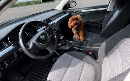 Skoda Superb III рестайлинг, 2010 год, 700 000 рублей, 6 фотография