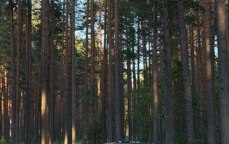 BMW M5, 2005 год, 2 600 000 рублей, 7 фотография