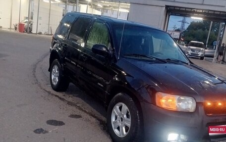 Ford Escape II, 2001 год, 280 000 рублей, 1 фотография