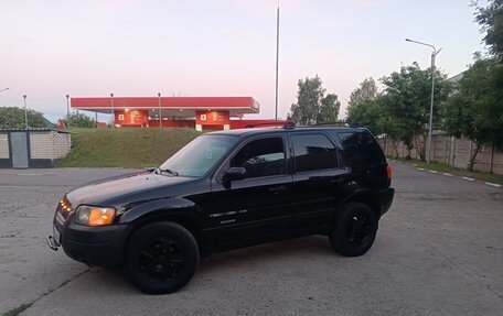 Ford Escape II, 2001 год, 280 000 рублей, 5 фотография