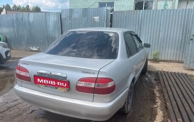 Toyota Corolla, 1999 год, 300 000 рублей, 1 фотография