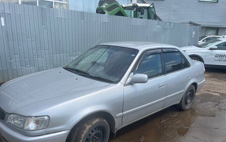 Toyota Corolla, 1999 год, 300 000 рублей, 3 фотография