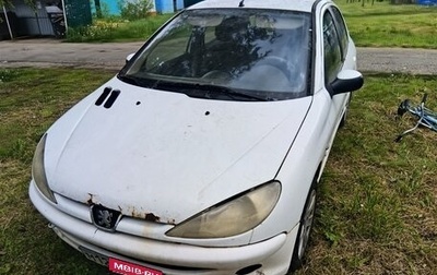 Peugeot 206, 2002 год, 105 000 рублей, 1 фотография