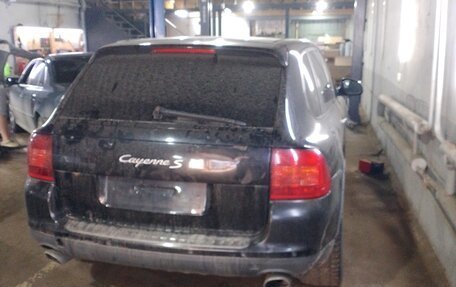 Porsche Cayenne III, 2004 год, 480 000 рублей, 1 фотография