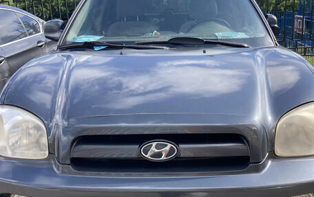 Hyundai Santa Fe III рестайлинг, 2004 год, 500 000 рублей, 7 фотография