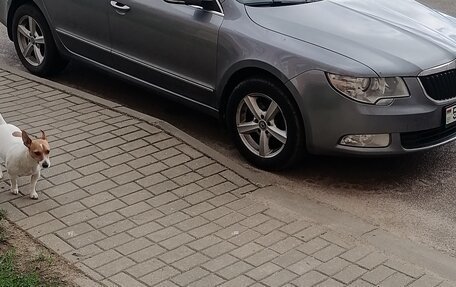 Skoda Superb III рестайлинг, 2011 год, 800 000 рублей, 7 фотография