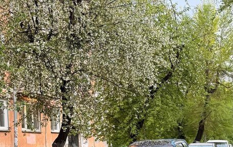 Subaru Forester, 2002 год, 780 000 рублей, 3 фотография