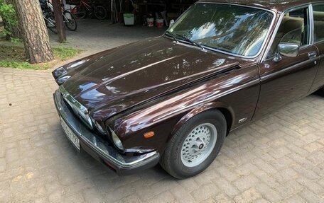 Jaguar XJ III (X350), 1982 год, 1 250 000 рублей, 2 фотография