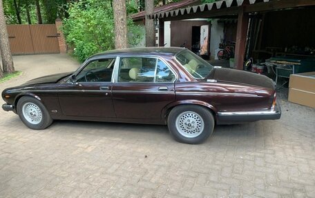 Jaguar XJ III (X350), 1982 год, 1 250 000 рублей, 4 фотография