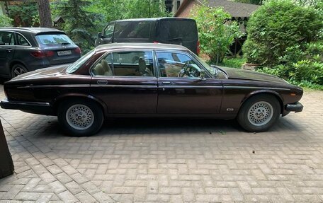 Jaguar XJ III (X350), 1982 год, 1 250 000 рублей, 5 фотография