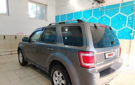 Ford Escape II, 2009 год, 1 200 000 рублей, 6 фотография