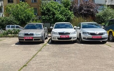 Skoda Octavia IV, 2008 год, 600 000 рублей, 1 фотография