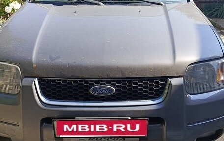 Ford Escape II, 2003 год, 350 000 рублей, 2 фотография