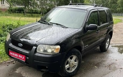 Ford Escape II, 2001 год, 540 000 рублей, 1 фотография