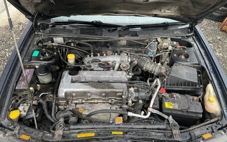 Nissan Bluebird XI, 2000 год, 150 000 рублей, 3 фотография
