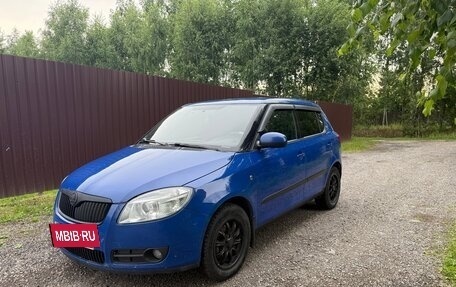 Skoda Fabia II, 2009 год, 315 000 рублей, 14 фотография