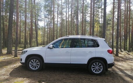 Volkswagen Tiguan I, 2012 год, 900 000 рублей, 14 фотография