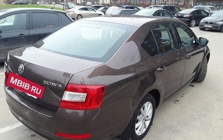 Skoda Octavia, 2014 год, 808 000 рублей, 6 фотография