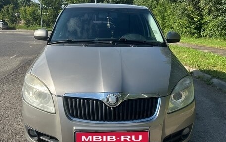 Skoda Fabia II, 2009 год, 450 000 рублей, 11 фотография