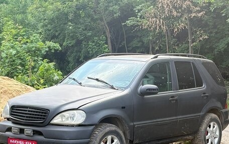 Mercedes-Benz M-Класс, 2002 год, 350 000 рублей, 1 фотография