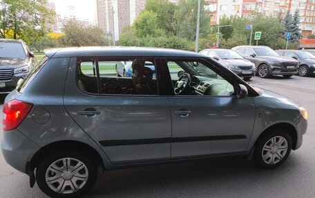 Skoda Fabia II, 2010 год, 371 000 рублей, 12 фотография