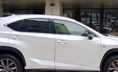 Lexus NX I, 2016 год, 3 050 000 рублей, 3 фотография