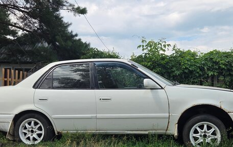 Toyota Corolla, 1999 год, 160 000 рублей, 2 фотография
