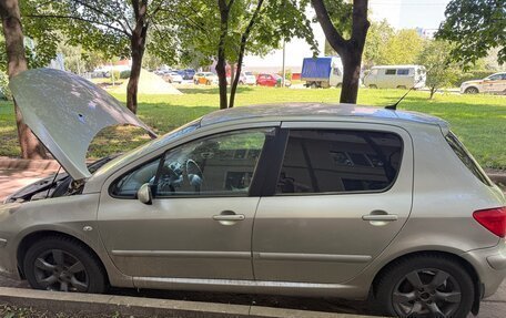 Peugeot 307 I, 2007 год, 400 000 рублей, 4 фотография