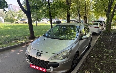 Peugeot 307 I, 2007 год, 400 000 рублей, 2 фотография
