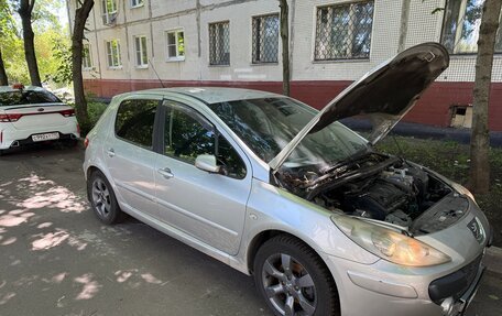 Peugeot 307 I, 2007 год, 400 000 рублей, 9 фотография