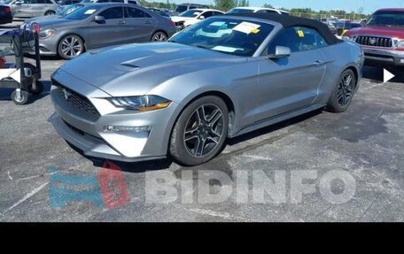 Ford Mustang VI рестайлинг, 2019 год, 3 500 000 рублей, 21 фотография