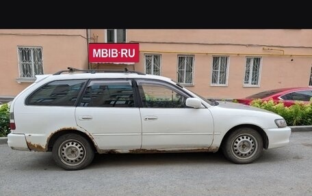 Toyota Corolla, 1999 год, 160 000 рублей, 3 фотография
