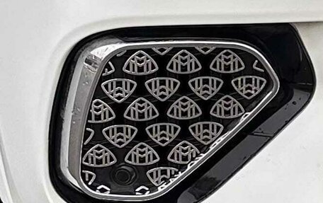 Mercedes-Benz GLS, 2022 год, 11 000 000 рублей, 14 фотография