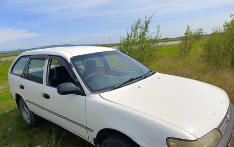 Toyota Corolla, 1999 год, 350 000 рублей, 2 фотография