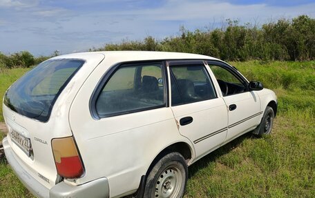 Toyota Corolla, 1999 год, 350 000 рублей, 4 фотография