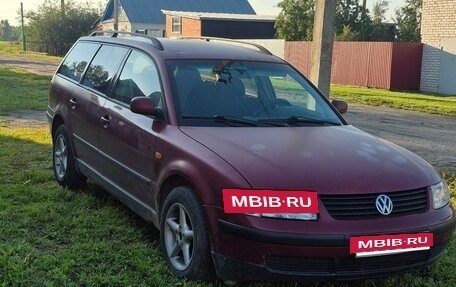 Volkswagen Passat B5+ рестайлинг, 1997 год, 270 000 рублей, 7 фотография