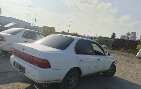 Toyota Corolla, 1993 год, 95 000 рублей, 2 фотография