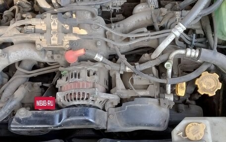 Subaru Forester, 2003 год, 570 000 рублей, 3 фотография