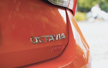 Skoda Octavia IV, 2022 год, 2 150 222 рублей, 7 фотография