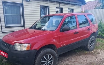 Ford Escape II, 2002 год, 260 000 рублей, 1 фотография