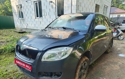 Skoda Fabia II, 2008 год, 1 фотография