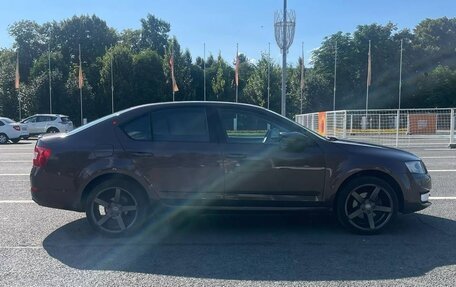 Skoda Octavia, 2013 год, 1 220 000 рублей, 3 фотография