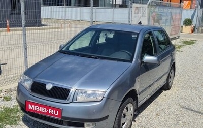 Skoda Fabia I, 2001 год, 200 000 рублей, 1 фотография