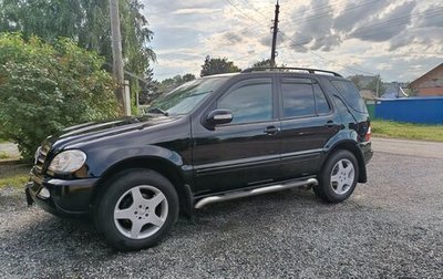 Mercedes-Benz M-Класс, 2002 год, 1 100 000 рублей, 1 фотография