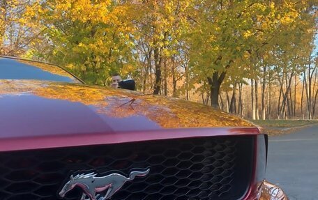 Ford Mustang VI рестайлинг, 2005 год, 3 000 000 рублей, 20 фотография