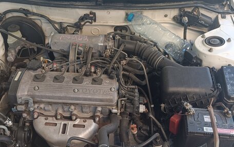 Toyota Corolla, 2000 год, 330 000 рублей, 6 фотография