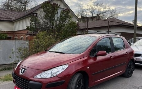 Peugeot 307 I, 2006 год, 350 000 рублей, 1 фотография