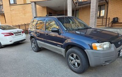 Ford Escape II, 2002 год, 550 000 рублей, 1 фотография